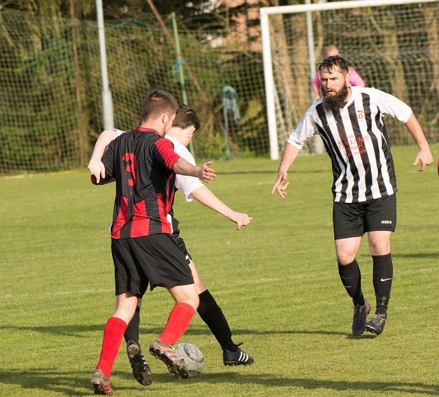 這一賽季 這一賽季