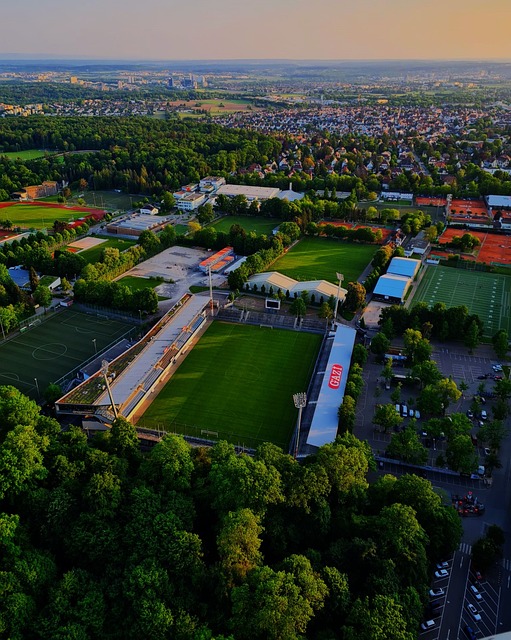 称霸英超的 称霸英超的