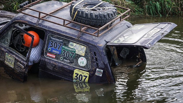 西蒙斯的视 西蒙斯的视