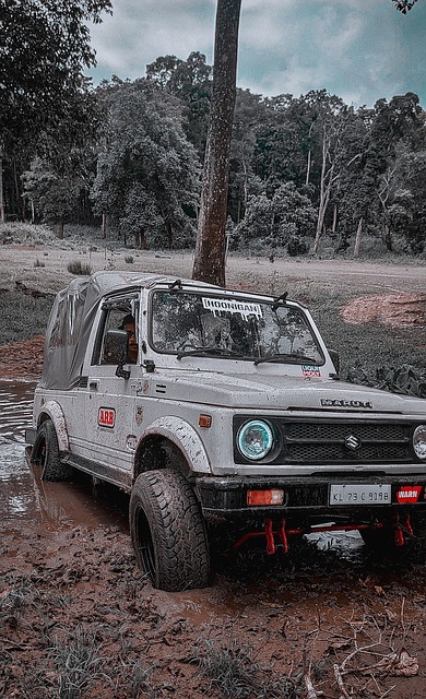 现为何陷入 现为何陷入