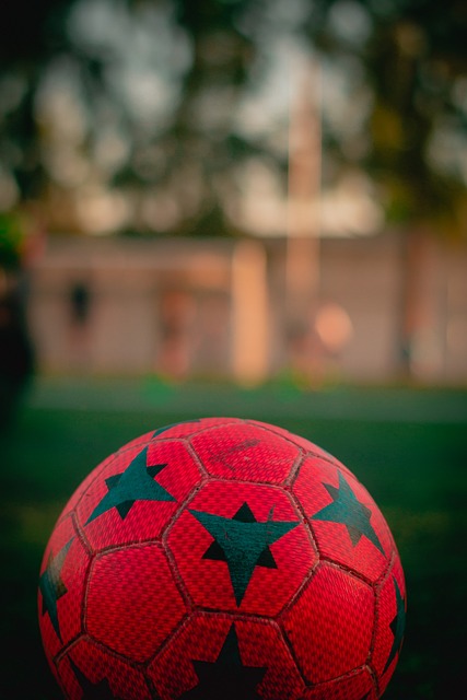 任何一个细 任何一个细