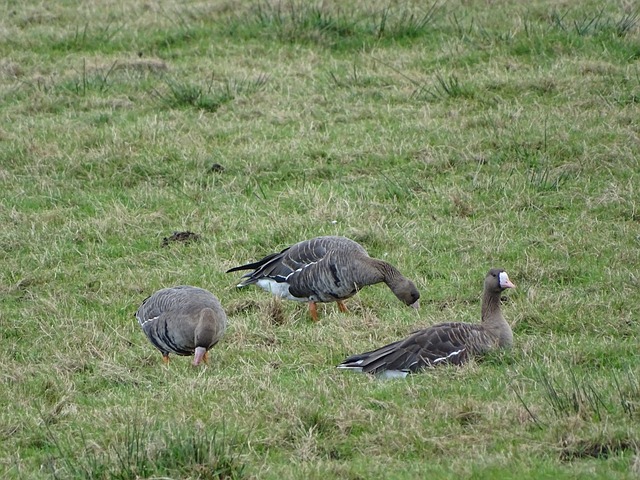 个体的努力 个体的努力