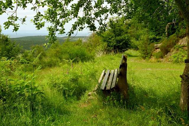 C罗新冠肺 C罗新冠肺