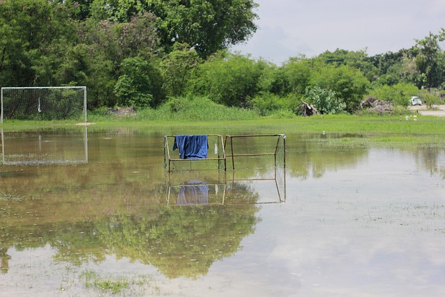诗栋作为中 诗栋作为中