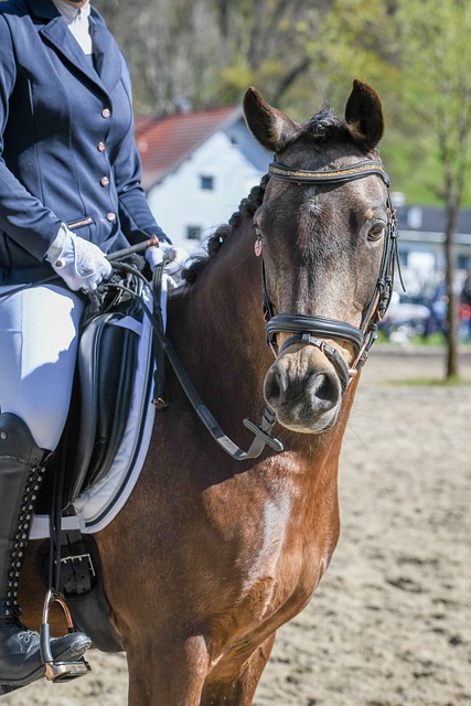 這一看似帶 這一看似帶