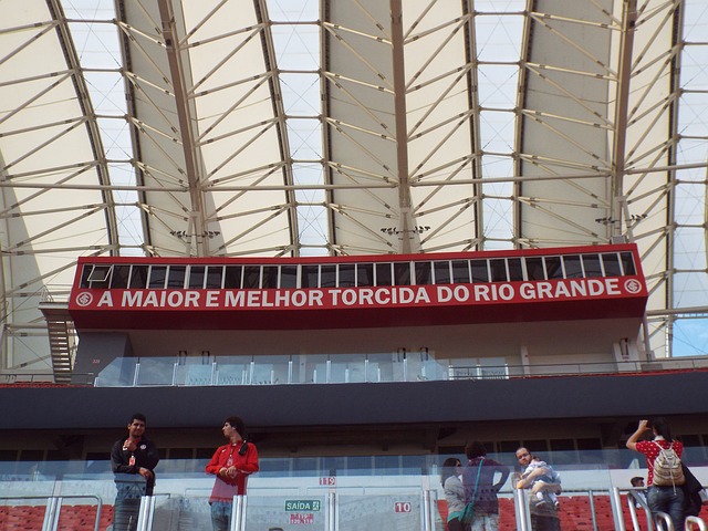 磊的复出和 磊的复出和