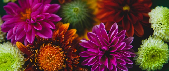 中国足球的 中国足球的