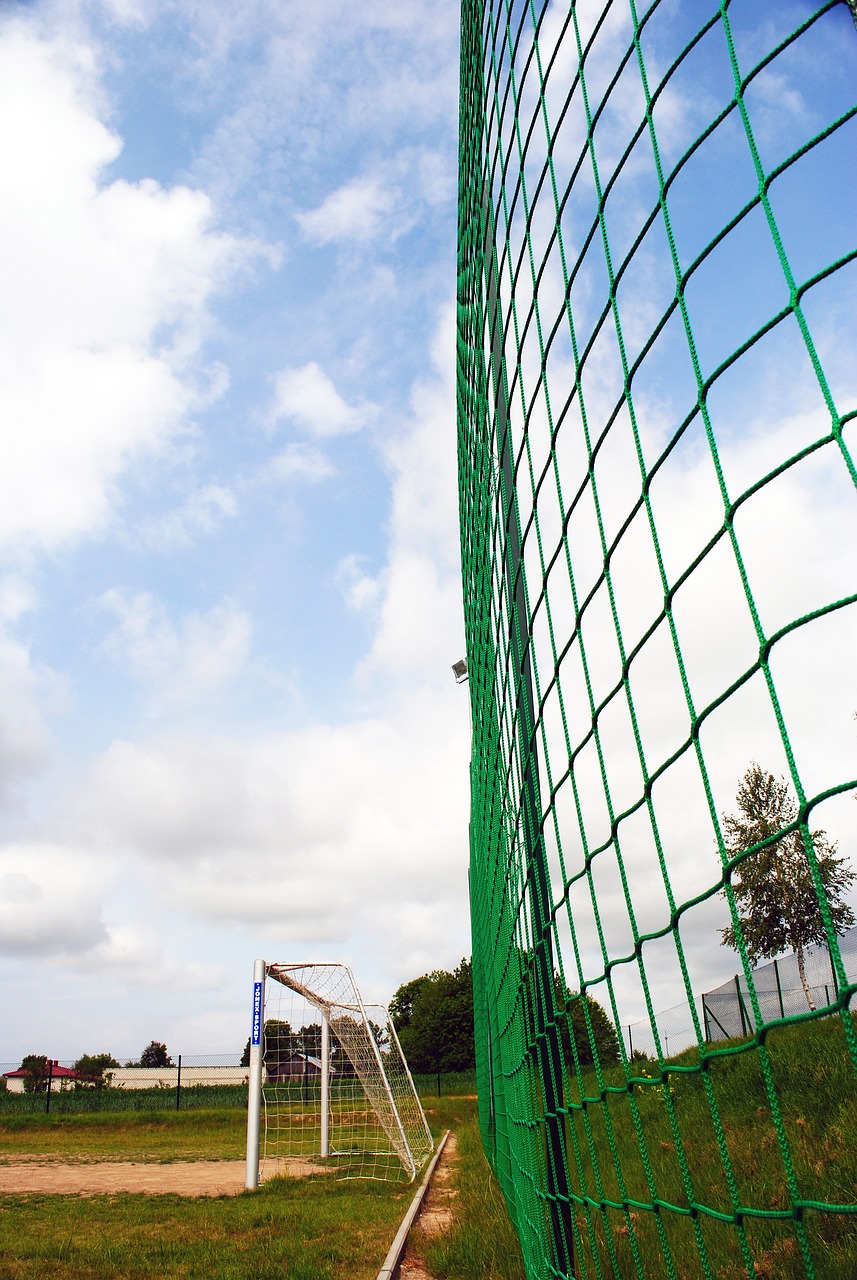 但也暴露了 但也暴露了