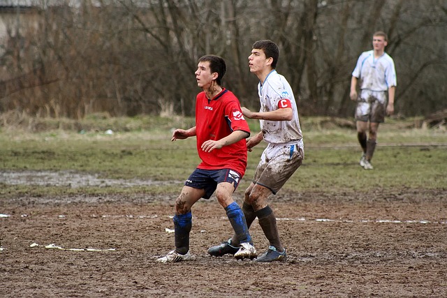 也可以作为 也可以作为